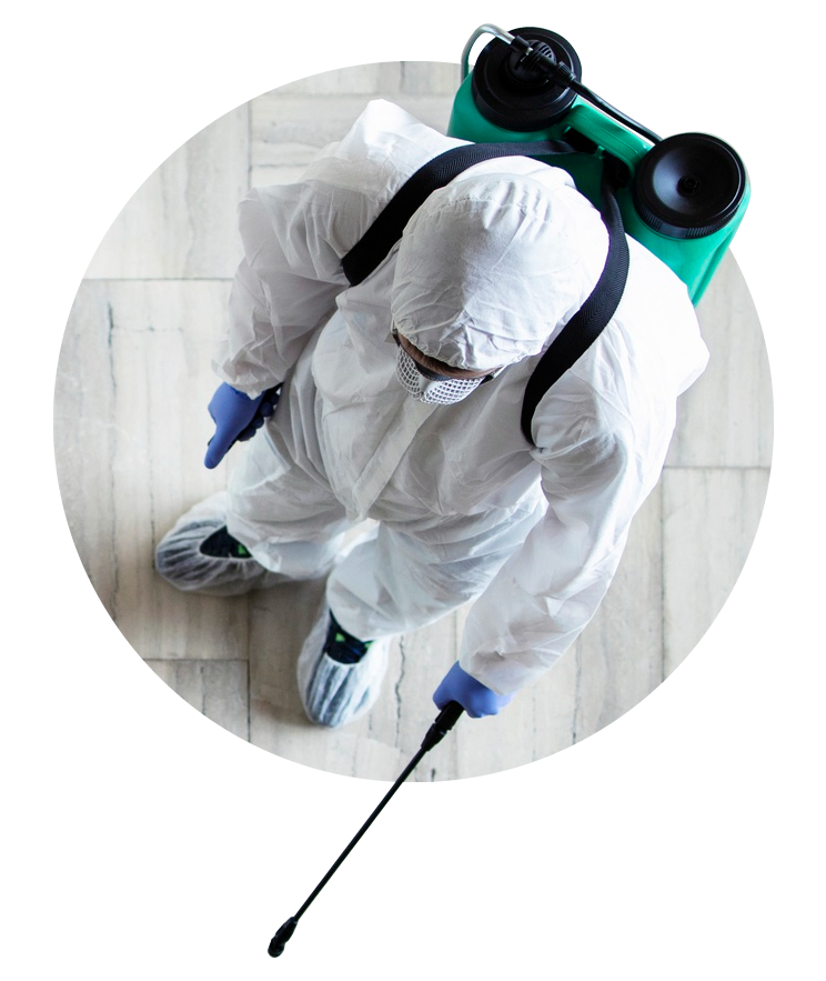 apolymanseis sanipex